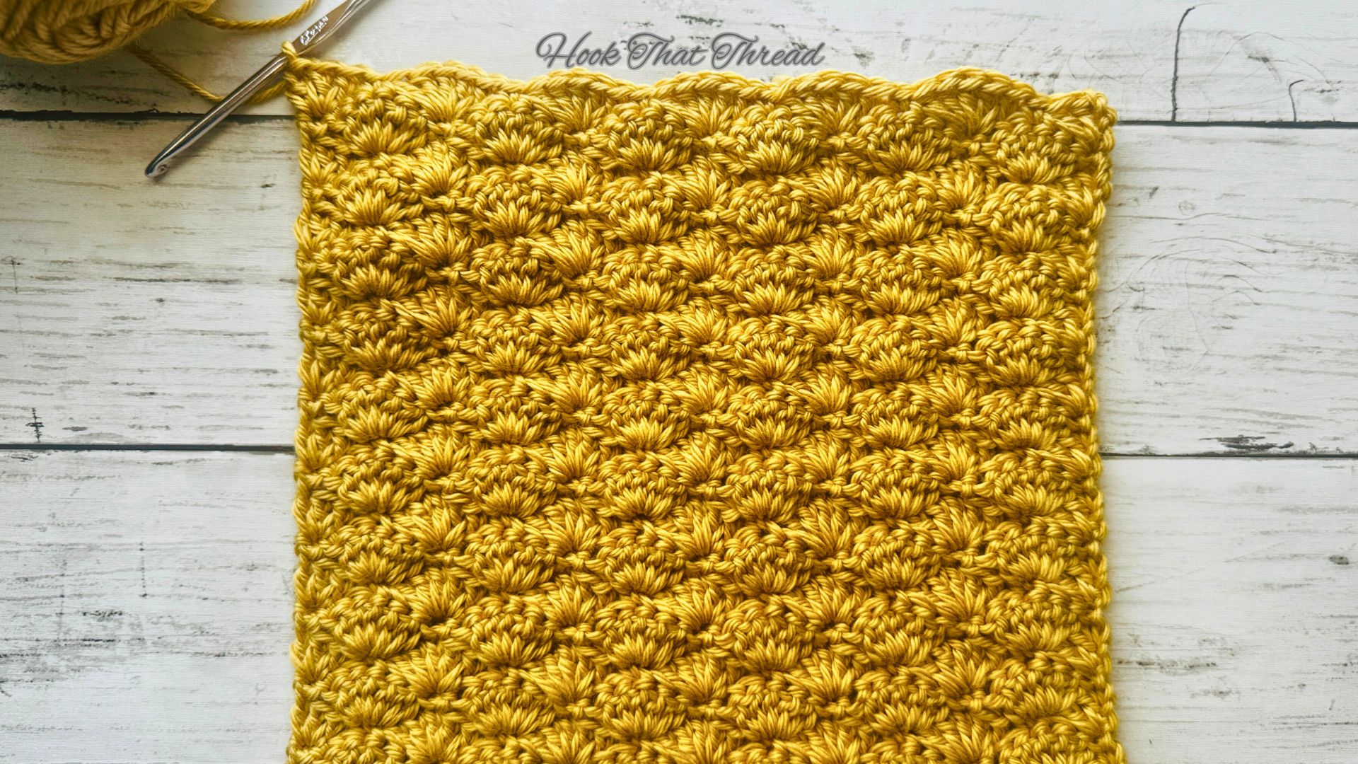 Read more about the article Crochet Shell Stitch